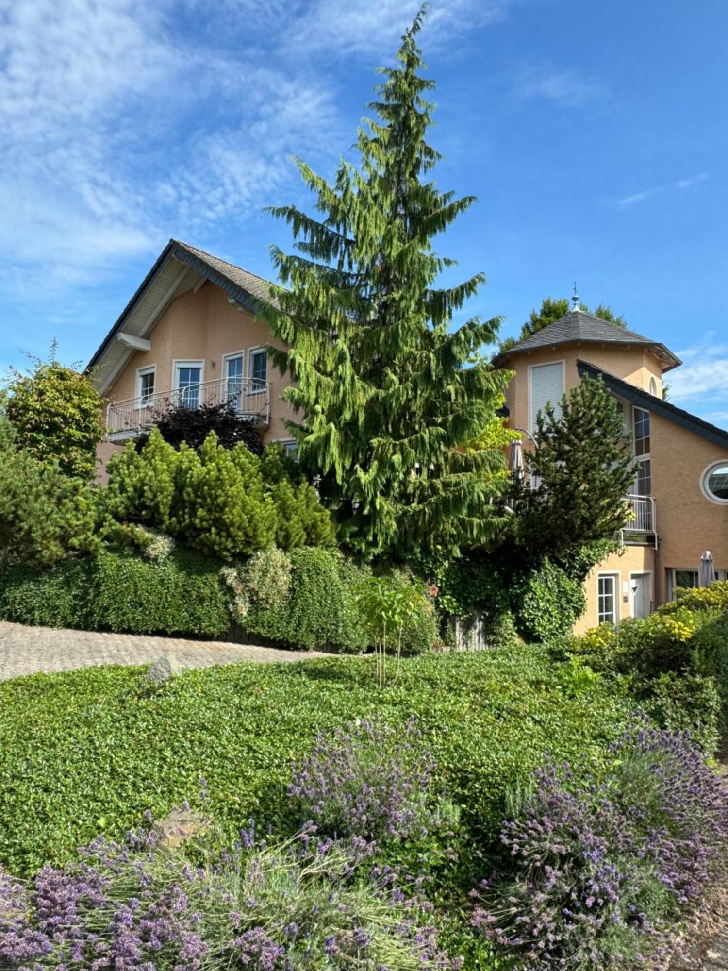 Ferienwohnung Feiden Eifel-Mosel Lounge Greimersburg Εξωτερικό φωτογραφία